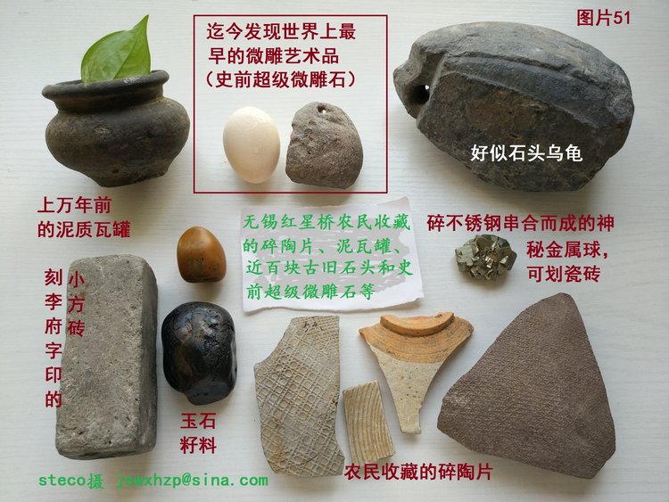 大揭秘：人类与猴子猩猩绝不是同一个祖宗686 / 作者:steco / 帖子ID:20461