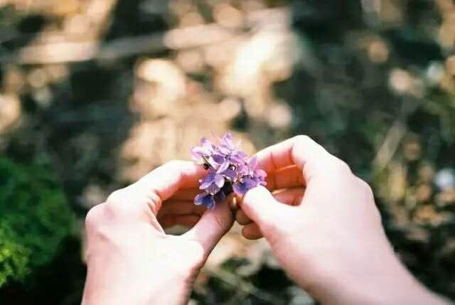 我已见过银河系，但我仍只爱你一颗星7 / 作者:admin / 帖子ID:26068