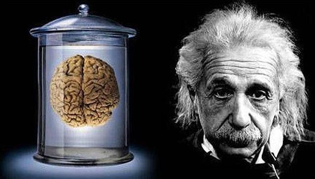 全球100多位天才的大脑和普通人的一样吗？有的人为什么能熟记59种语言912 / 作者:admin / 帖子ID:26115