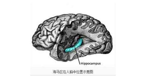 全球100多位天才的大脑和普通人的一样吗？有的人为什么能熟记59种语言285 / 作者:admin / 帖子ID:26115