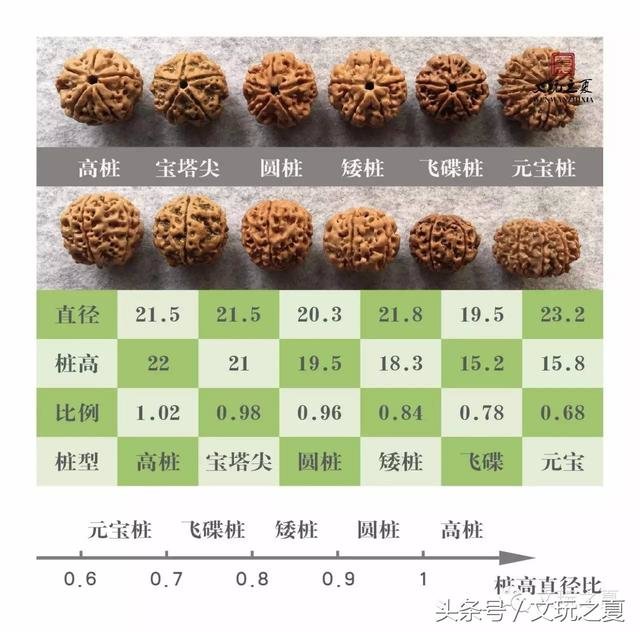 核桃技术传入尼泊尔，大金刚上夹板夹出纽扣UFO！这样的传闻是真的吗？372 / 作者:另リ問 / 帖子ID:26137
