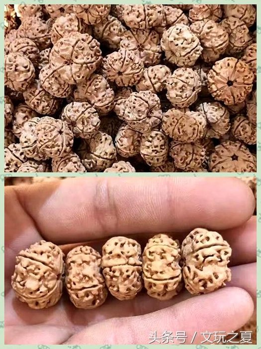 核桃技术传入尼泊尔，大金刚上夹板夹出纽扣UFO！这样的传闻是真的吗？27 / 作者:另リ問 / 帖子ID:26137