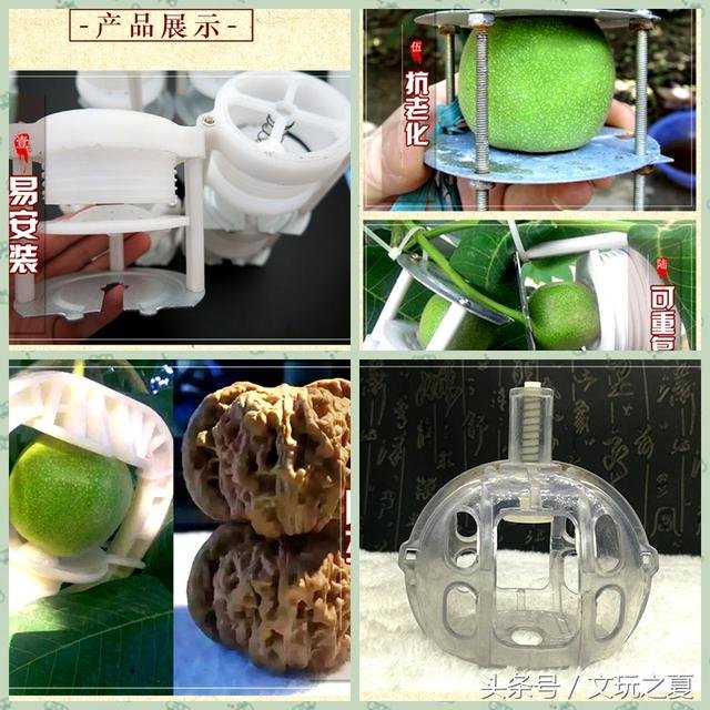 核桃技术传入尼泊尔，大金刚上夹板夹出纽扣UFO！这样的传闻是真的吗？854 / 作者:另リ問 / 帖子ID:26137