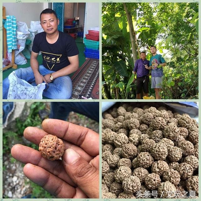 核桃技术传入尼泊尔，大金刚上夹板夹出纽扣UFO！这样的传闻是真的吗？110 / 作者:另リ問 / 帖子ID:26137