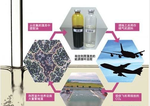 有趣的10大时尚新潮环保的发明，让你逼格高出不只一个档次477 / 作者:admin / 帖子ID:26200