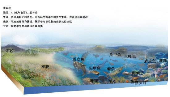 志留纪生物图片资料660 / 作者:伤我心太深 / 帖子ID:26241