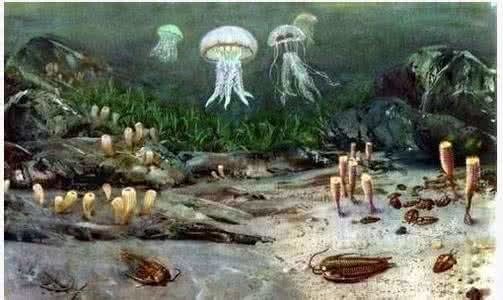 志留纪生物图片资料910 / 作者:伤我心太深 / 帖子ID:26241