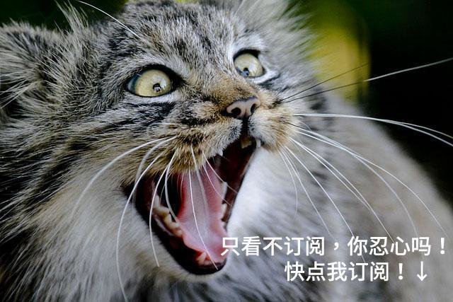 什么？太阳系可能又不是八大行星了？冥王星哭晕在厕所！704 / 作者:静风 / 帖子ID:26388