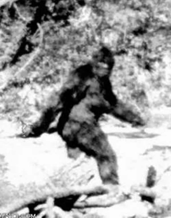 探访51区遇到神秘生物？老外又调皮了743 / 作者:admin / 帖子ID:26414