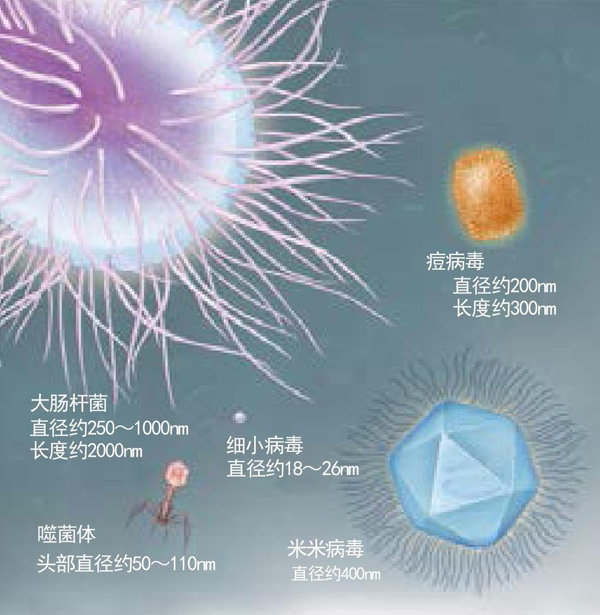 地球巨型病毒是怎样发现的483 / 作者:伤我心太深 / 帖子ID:26444