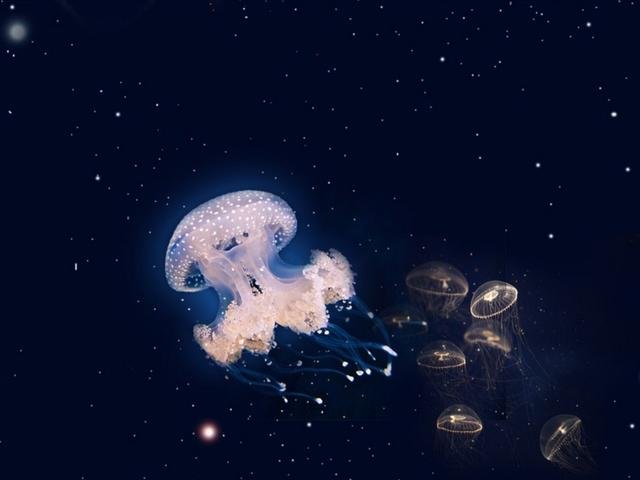 宇宙中存在氨基生命体吗184 / 作者:u3203186 / 帖子ID:26457