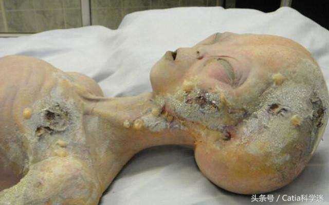 外星文明在高纬度空间里 所以人类才找不到120 / 作者:hhak003 / 帖子ID:26492