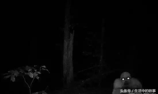 揭秘全球六大外星文明真实面目！29 / 作者:admin / 帖子ID:26540