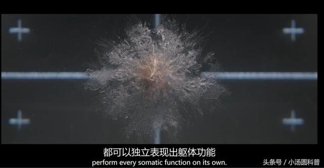 《异型觉醒》里的生物很厉害？本质上其实还是我们认知中的生物58 / 作者:admin / 帖子ID:26542