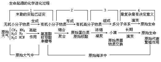 冥古宙时期的生物是什么 40亿年前地球是什么样587 / 作者:伤我心太深 / 帖子ID:26550