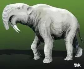 恐象,已灭绝的巨型恐象图片166 / 作者:伤我心太深 / 帖子ID:26577