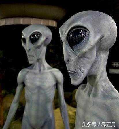 如果你有机会，吃掉一个外星文明，会怎么样？773 / 作者:zetas666 / 帖子ID:26607
