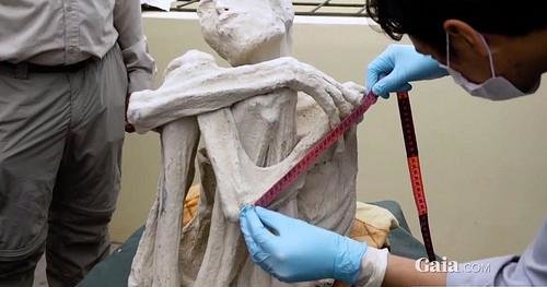秘鲁坟墓里发现死掉的外星文明宝宝和怀孕母亲？157 / 作者:hejiao / 帖子ID:26651