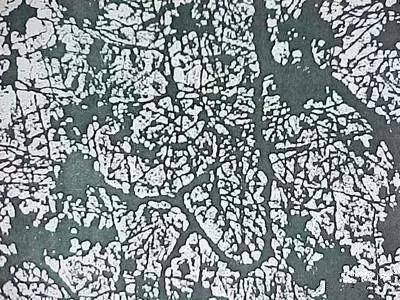 美国《自然》杂志刊登最新发现：宇宙竟然是个超级大脑！391 / 作者:麦田 / 帖子ID:26867