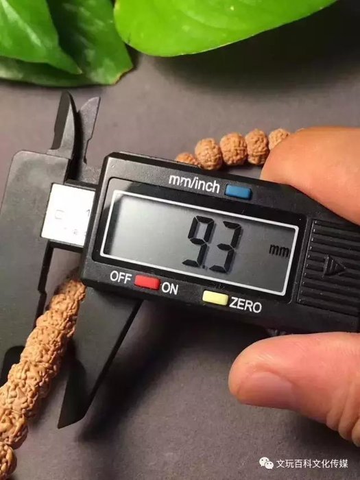原创：让我盘一会金刚菩提UFO桩，我可能感觉自己统治了宇宙282 / 作者:WX. / 帖子ID:27017