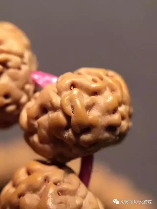 原创：让我盘一会金刚菩提UFO桩，我可能感觉自己统治了宇宙297 / 作者:WX. / 帖子ID:27017