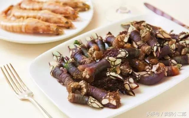 海滩出现形态诡异的“地外生物” 专家却说这是难得的美味！373 / 作者:124479387 / 帖子ID:27058