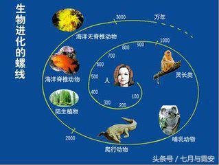 最新研究发现！地球生命全部都源自于外太空！691 / 作者:一休 / 帖子ID:27132