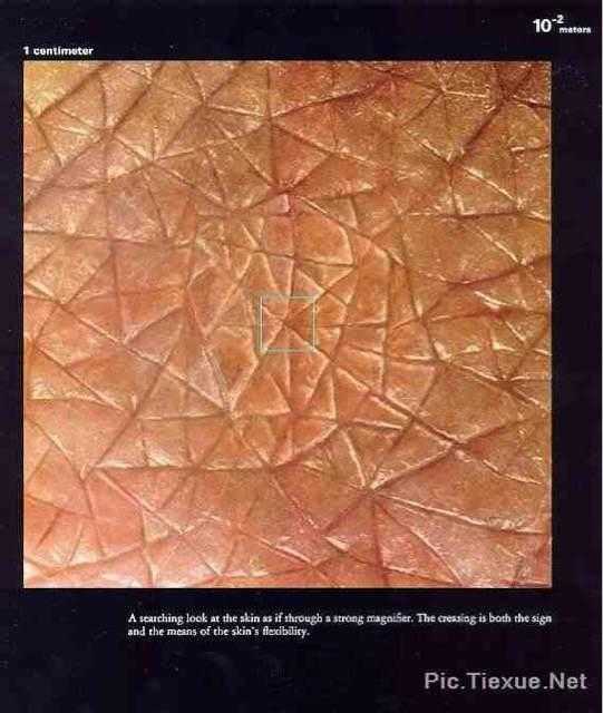 看看人类在宇宙中到底有多渺小596 / 作者:yu1990 / 帖子ID:27140