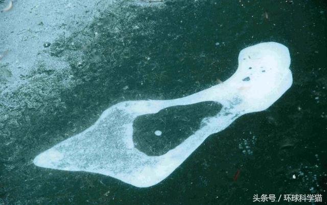科学家找到外星文明，史蒂芬霍金保持沉默了，三颗宜居带存在生命885 / 作者:yu1990 / 帖子ID:27155