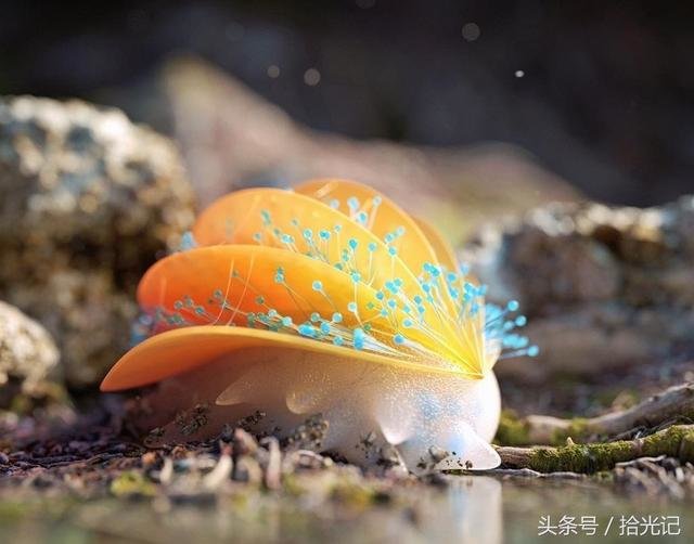 地外生物究竟长什么样子，没有你想象中那么可怕819 / 作者:124959377 / 帖子ID:27178