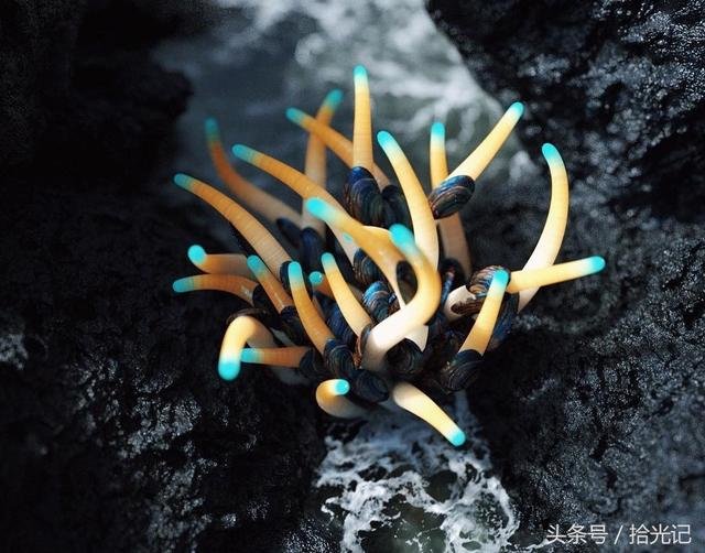 地外生物究竟长什么样子，没有你想象中那么可怕863 / 作者:124959377 / 帖子ID:27178