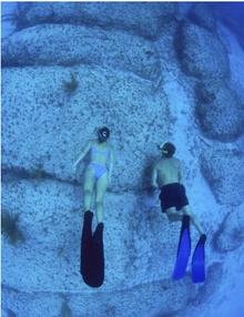 亚特兰蒂斯文明之谜,真的存在吗430 / 作者:775852121 / 帖子ID:27245