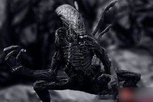 美国51区 UFO事件 泽塔事件244 / 作者:七七 / 帖子ID:27384