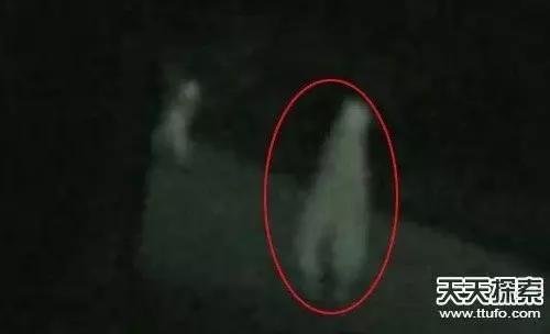 外星文明来过地球？照片大曝光510 / 作者:静风 / 帖子ID:27388