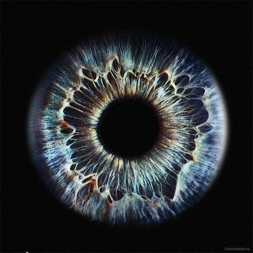 眼睛，是另一个宇宙239 / 作者:七七 / 帖子ID:27414