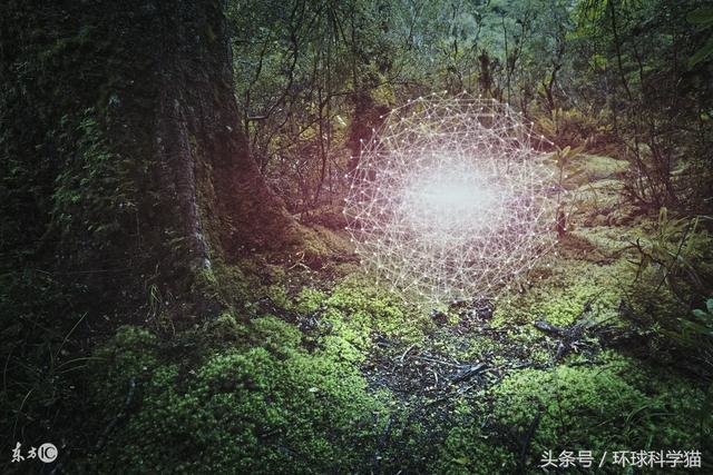 行星都存在生命，科学却永远发现不了，事实摆在眼前764 / 作者:kx2012 / 帖子ID:27419