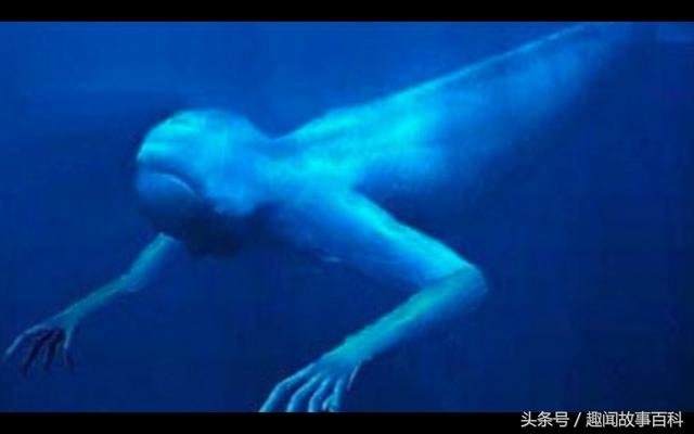 南极神秘的30米高巨型人类 据称是日本实验人造生命体486 / 作者:圣诞贝贝 / 帖子ID:27453