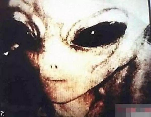 外星文明离奇事件亚当斯基被杀之谜（1）550 / 作者:WX. / 帖子ID:27484