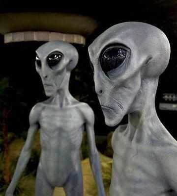 假如一只可怜的迷路外星文明落在人类手里，我们会干些什么？633 / 作者:佛妹妹 / 帖子ID:27570