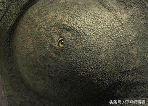 史蒂芬霍金想像的地外生物样子81 / 作者:hejiao / 帖子ID:27623