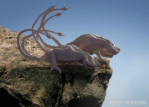 史蒂芬霍金想像的地外生物样子355 / 作者:hejiao / 帖子ID:27623