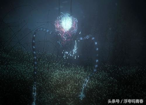 史蒂芬霍金想像的地外生物样子358 / 作者:hejiao / 帖子ID:27623