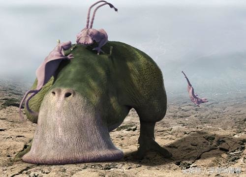 史蒂芬霍金想像的地外生物样子982 / 作者:hejiao / 帖子ID:27623