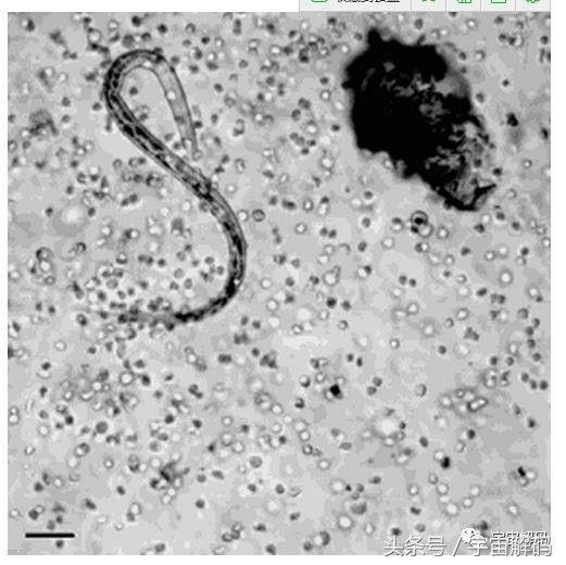 25个数据让你重新认识地球、宇宙和生命654 / 作者:PartinGuitar / 帖子ID:27667