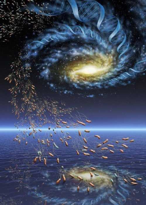 恐惧的真相 宇宙其实是个生物体124 / 作者:熊大白 / 帖子ID:27681