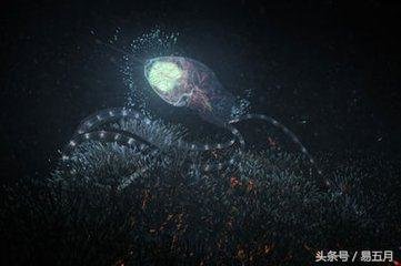 茫茫宇宙，人类科学家用水来判断一个星球是否有生命，合理吗？179 / 作者:不变 / 帖子ID:27698