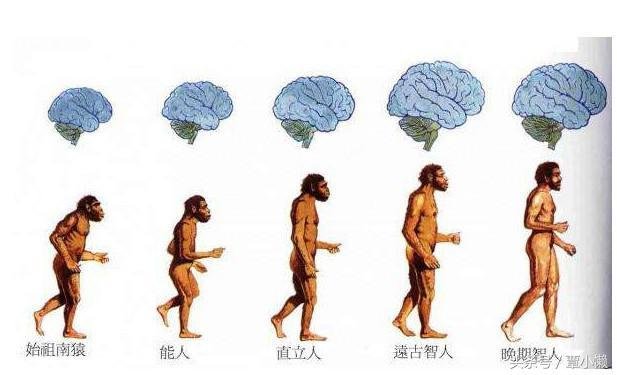 人类的起源和外星文明有关吗？这里告诉你真相8 / 作者:马甲杀手 / 帖子ID:27707
