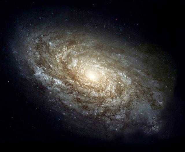 如果世间有神有外星文明，是否生活在高纬度空间生活于平行世界？802 / 作者:star1943 / 帖子ID:27786