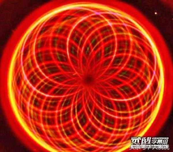 可视化磁场与生命之花图形，也许麦田怪圈也跟此有关联248 / 作者:hhak003 / 帖子ID:27789