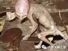 世界十大著名外星文明未解之谜，月球是外星文明造的？560 / 作者:Betty゛ / 帖子ID:27798